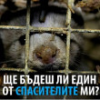 Кажи „Не!“ на ненужното страдание!