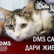 Осмели се да дариш живот на бездомните!