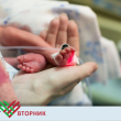 Подари подкрепа!