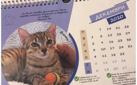 Бъди гласът на безгласните!