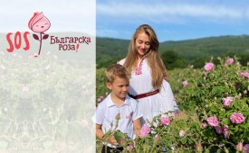 SOS Българска Роза