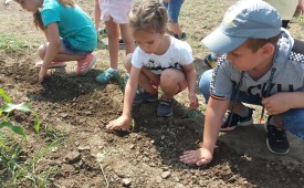 Да научим децата на България как се отглежда екологично чиста храна
