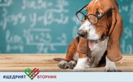Vet мултиMed проектори за по-качествено образование