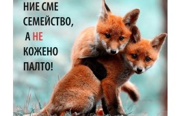 Кажи „Не!“ на ненужното страдание!