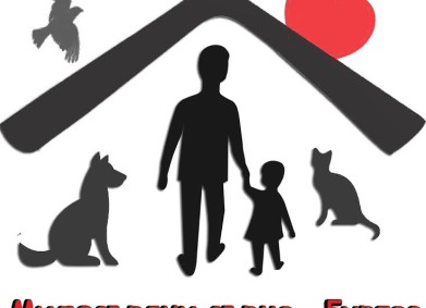 Успех за кампанията „Спасителна къщурка -DMS BEZDOMNI“