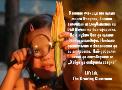 text img