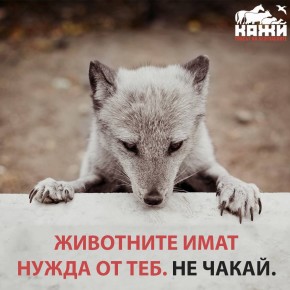 text img