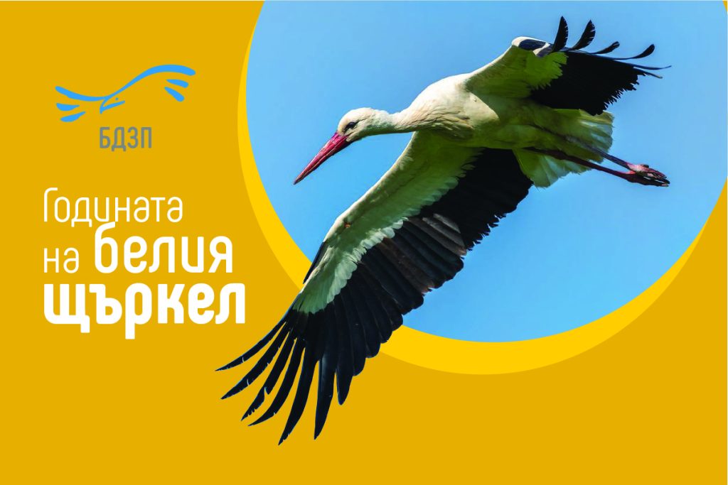 Подкрепете опазването на белия щъркел - DMS