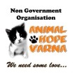 Надежда и спасение на бездомните животни!