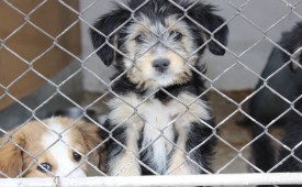 Да бъдем съпричастни!