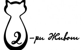 Дарете втори живот на бездомните и болни котенца!