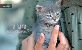 Не бъди безразличен към живот(но) в нужда!