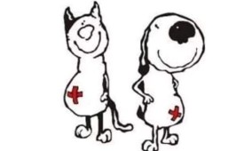 Помагаме на бездомни и дворни животни, помогни и ти!