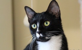 Любовта е грижа!