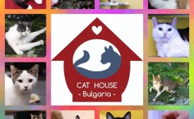 Помогнете, за да помогнем!