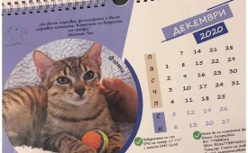 Бъди гласът на безгласните!