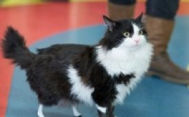 Дари капка живот!