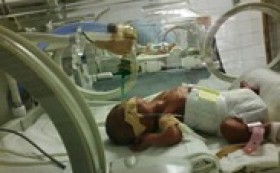 Успешно приключи кампанията на DMS Nedonoseni!