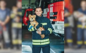 Сдружение Animal Hope Bulgaria (Казанлък) издаде календар с кауза