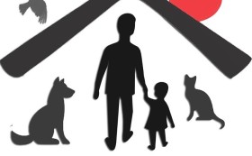 Успех за кампанията „Спасителна къщурка -DMS BEZDOMNI“