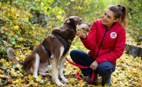 „Четири лапи“ с истории за обичане: Куче на име Бобър