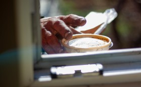 „Шантавата“ година на Розовата къща