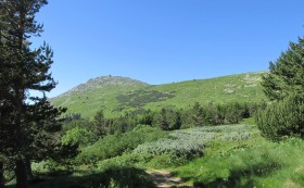 Кампанията „Витоша – достъпна за всички!“ приключи с успех