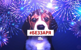 Празничните фойерверки са страдание за животните