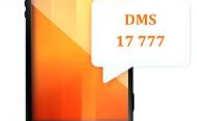 Информация за набраните SMS в DMS за март 2011