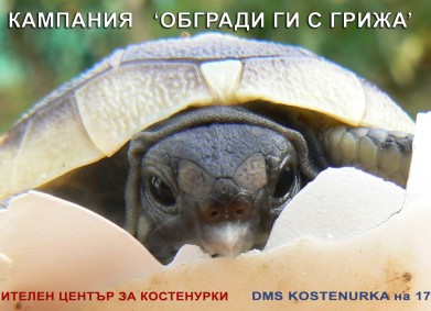 Обгради ги с грижа!