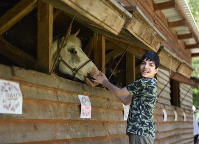 40 деца годишно ще продължат да получават хипотерапия в конна база „Ахил“