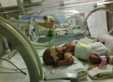 Успешно приключи кампанията на DMS Nedonoseni!