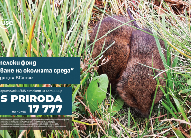 Честит Световен ден на животните!