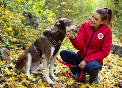 „Четири лапи“ с истории за обичане: Куче на име Бобър