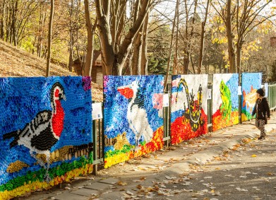 Образование чрез изкуство