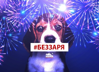 Празничните фойерверки са страдание за животните