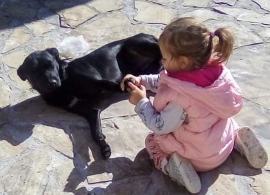 Вземи лапа в ръка!