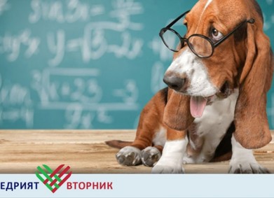 Vet мултиMed проектори за по-качествено образование