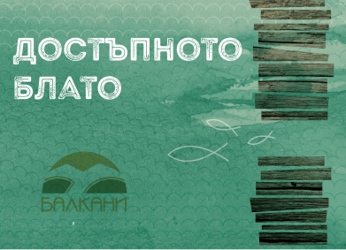 DMS BLATO – Достъпното блато